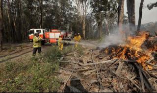 澳大利亚的火灾的原因 澳大利亚大火发生时间及原因